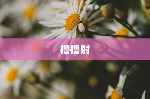 撸撸射