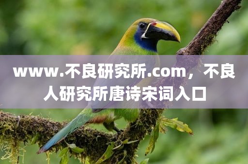 www.不良研究所.com，不良人研究所唐诗宋词入口
