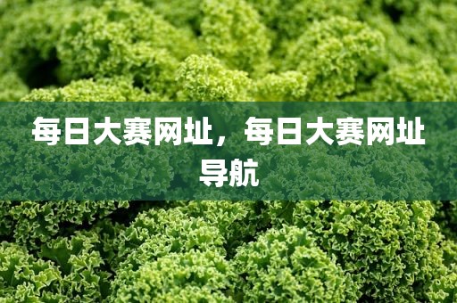 每日大赛网址，每日大赛网址导航