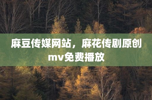 麻豆传媒网站，麻花传剧原创mv免费播放