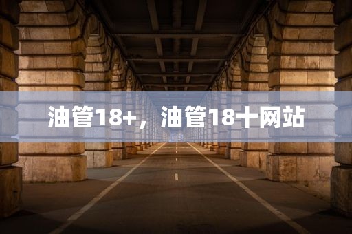 油管18+，油管18十网站