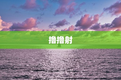 撸撸射