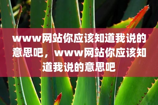 www网站你应该知道我说的意思吧，www网站你应该知道我说的意思吧