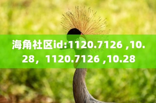 海角社区id:1120.7126 ,10.28，1120.7126 ,10.28