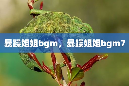 暴躁姐姐bgm，暴躁姐姐bgm7