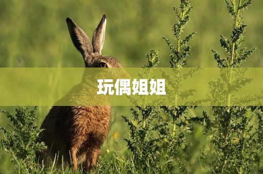 玩偶姐姐
