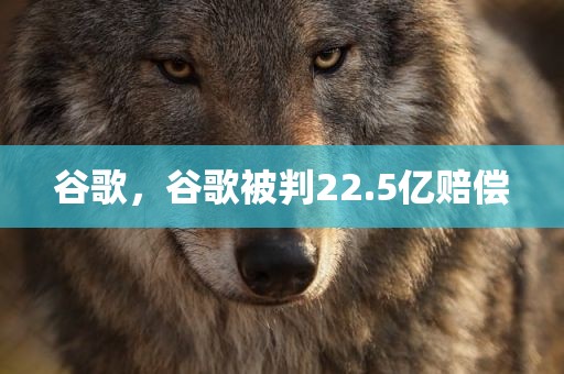 谷歌，谷歌被判22.5亿赔偿