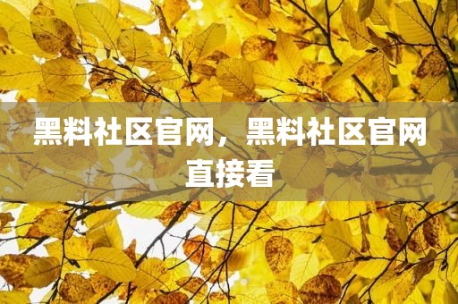黑料社区官网，黑料社区官网直接看