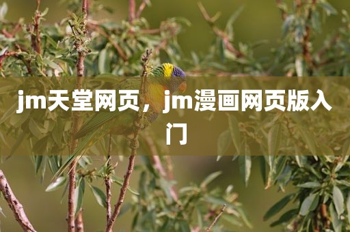 jm天堂网页，jm漫画网页版入门
