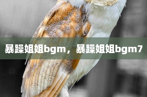 暴躁姐姐bgm，暴躁姐姐bgm7