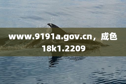 www.9191a.gov.cn，成色18k1.2209