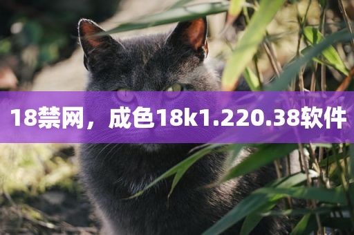 18禁网，成色18k1.220.38软件