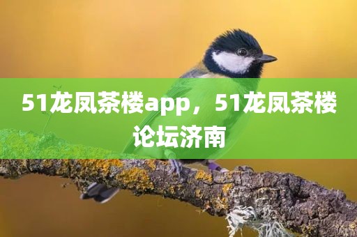 51龙凤茶楼app，51龙凤茶楼论坛济南