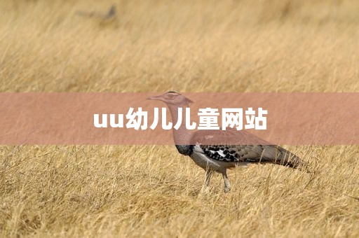 uu幼儿儿童网站