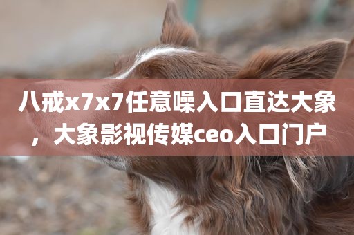 八戒x7x7任意噪入口直达大象，大象影视传媒ceo入口门户