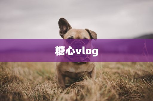 糖心vlog