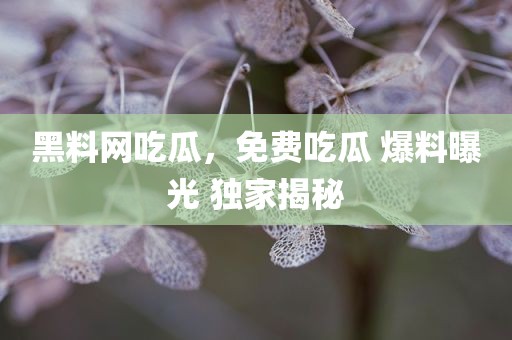 黑料网吃瓜，免费吃瓜 爆料曝光 独家揭秘
