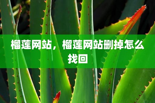 榴莲网站，榴莲网站删掉怎么找回
