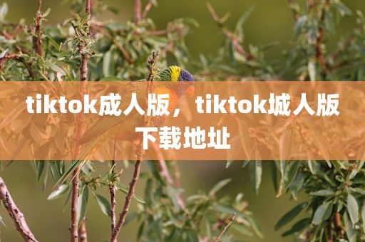 tiktok成人版，tiktok城人版下载地址