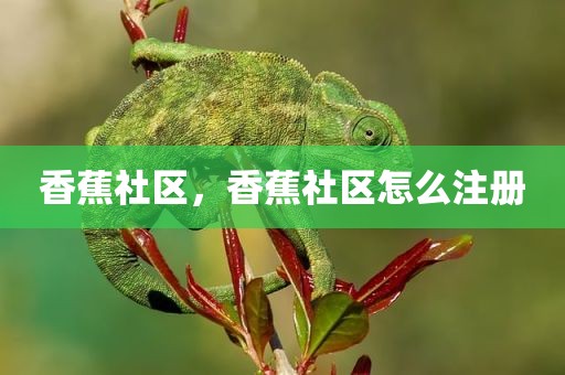 香蕉社区，香蕉社区怎么注册