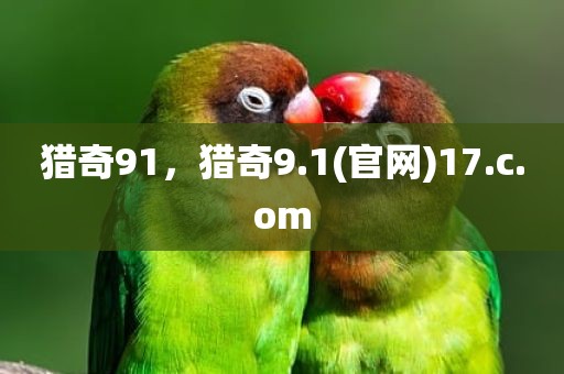 猎奇91，猎奇9.1(官网)17.c.om