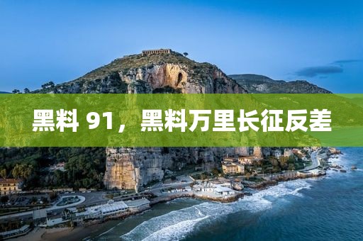 黑料 91，黑料万里长征反差