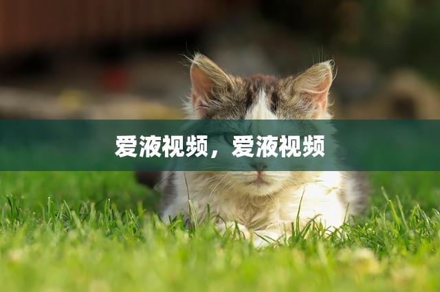 爱液视频，爱液视频