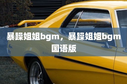 暴躁姐姐bgm，暴躁姐姐bgm国语版