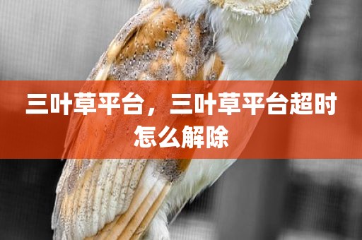 三叶草平台，三叶草平台超时怎么解除
