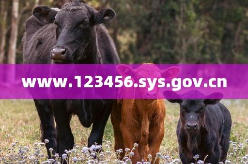 www.123456.sys.gov.cn
