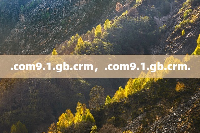 .com9.1.gb.crm，.com9.1.gb.crm.