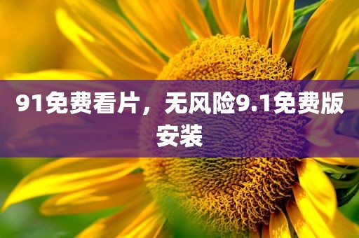 91免费看片，无风险9.1免费版安装