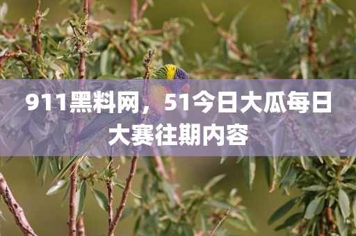 911黑料网，51今日大瓜每日大赛往期内容