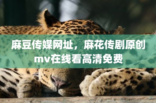 麻豆传媒网址，麻花传剧原创mv在线看高清免费