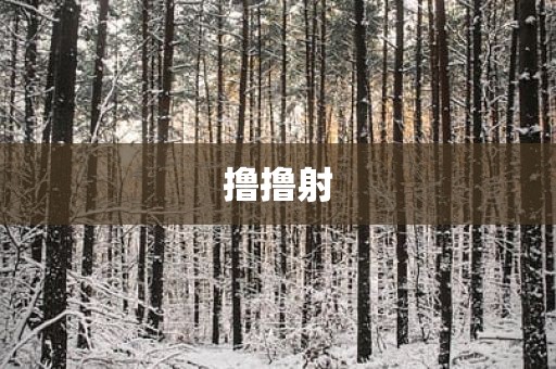 撸撸射
