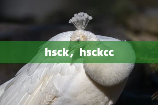 hsck，hsckcc