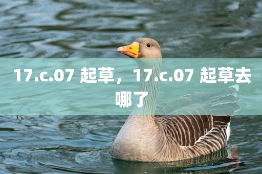17.c.07 起草，17.c.07 起草去哪了