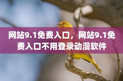 网站9.1免费入口，网站9.1免费入口不用登录动漫软件