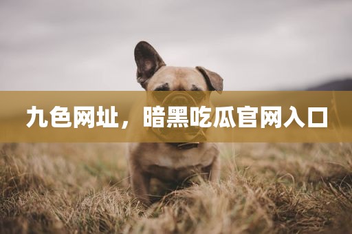 九色网址，暗黑吃瓜官网入口