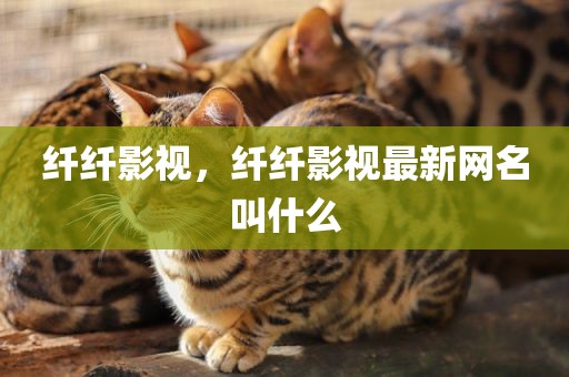 纤纤影视，纤纤影视最新网名叫什么