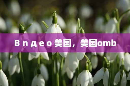B n д e o 美国，美国omb