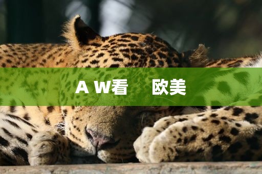 A W看     欧美