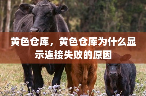 黄色仓库，黄色仓库为什么显示连接失败的原因