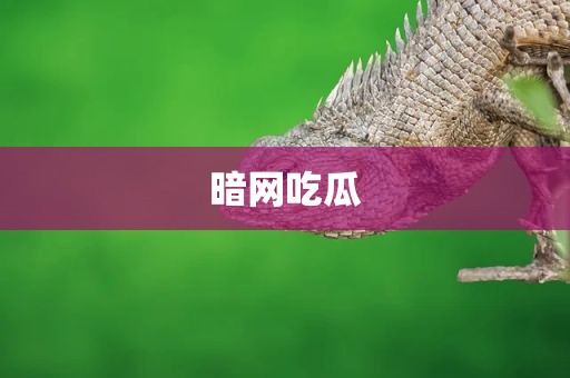 暗网吃瓜