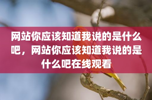 网站你应该知道我说的是什么吧，网站你应该知道我说的是什么吧在线观看