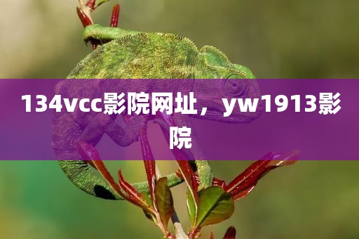 134vcc影院网址，yw1913影院