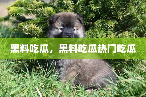 黑料吃瓜，黑料吃瓜热门吃瓜