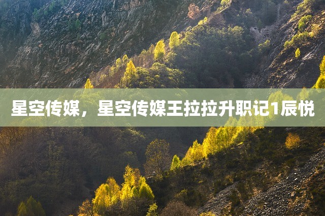 星空传媒，星空传媒王拉拉升职记1辰悦