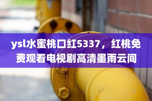 ysl水蜜桃口红5337，红桃免费观看电视剧高清墨雨云间
