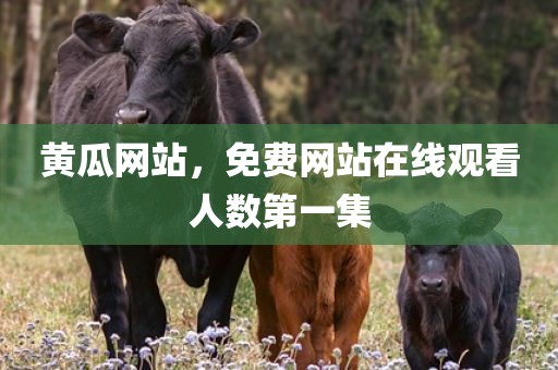 黄瓜网站，免费网站在线观看人数第一集